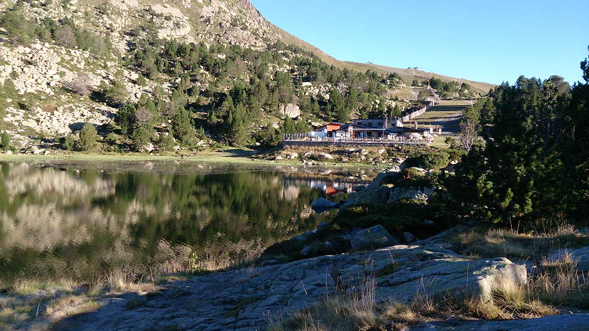 005