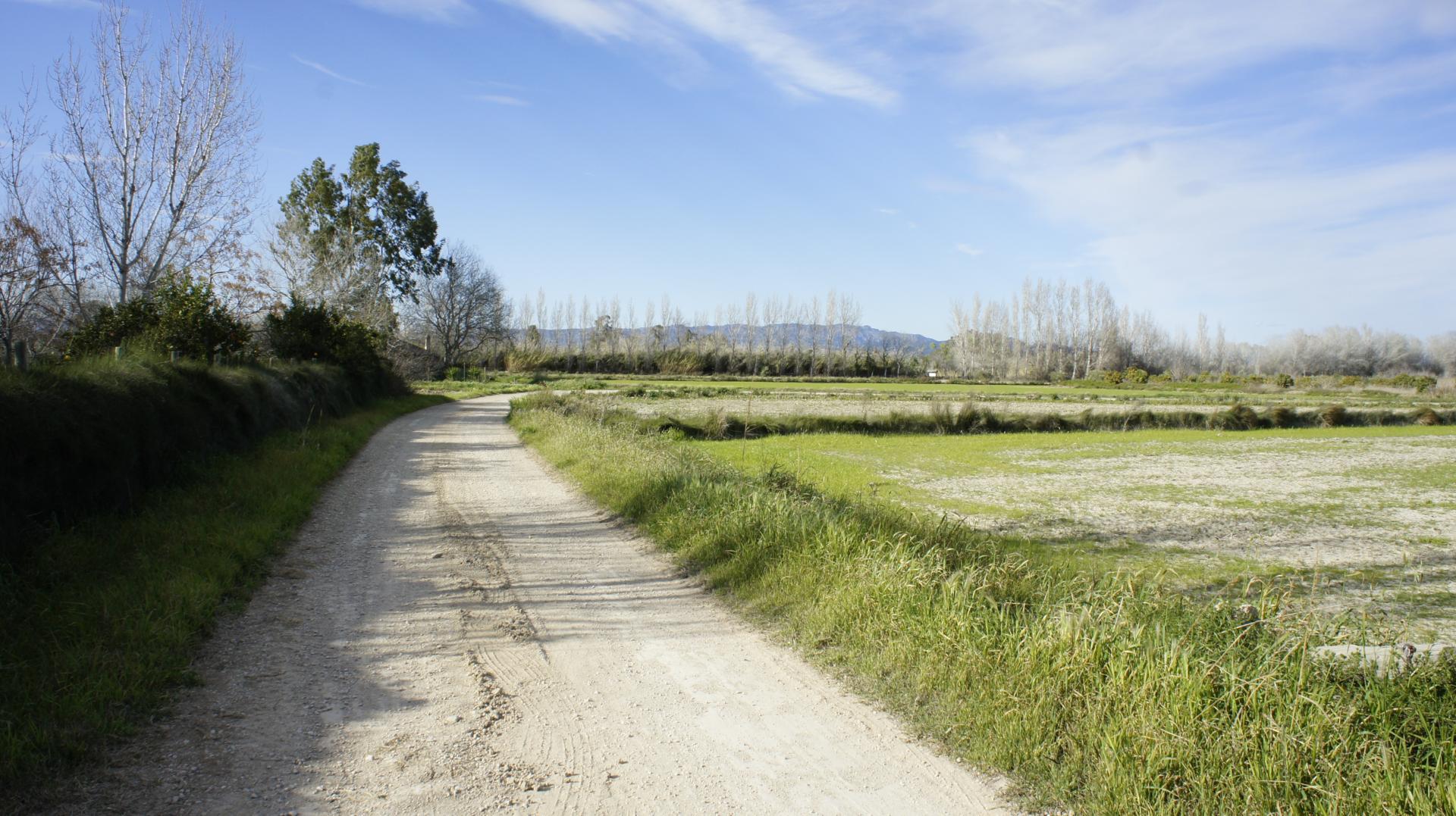 Running Sant Jaume dEnveja 15K (11)