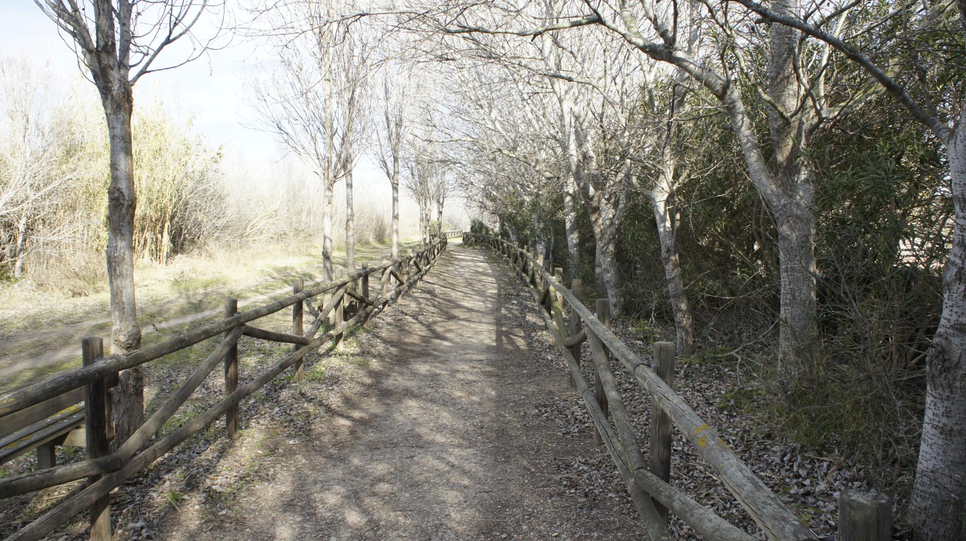 Running Sant Jaume dEnveja 15K (12)