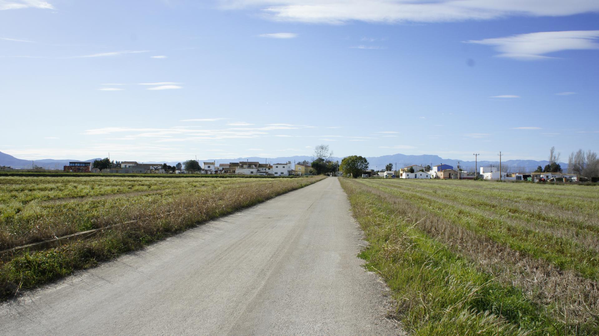 Running Sant Jaume dEnveja 15K (5)