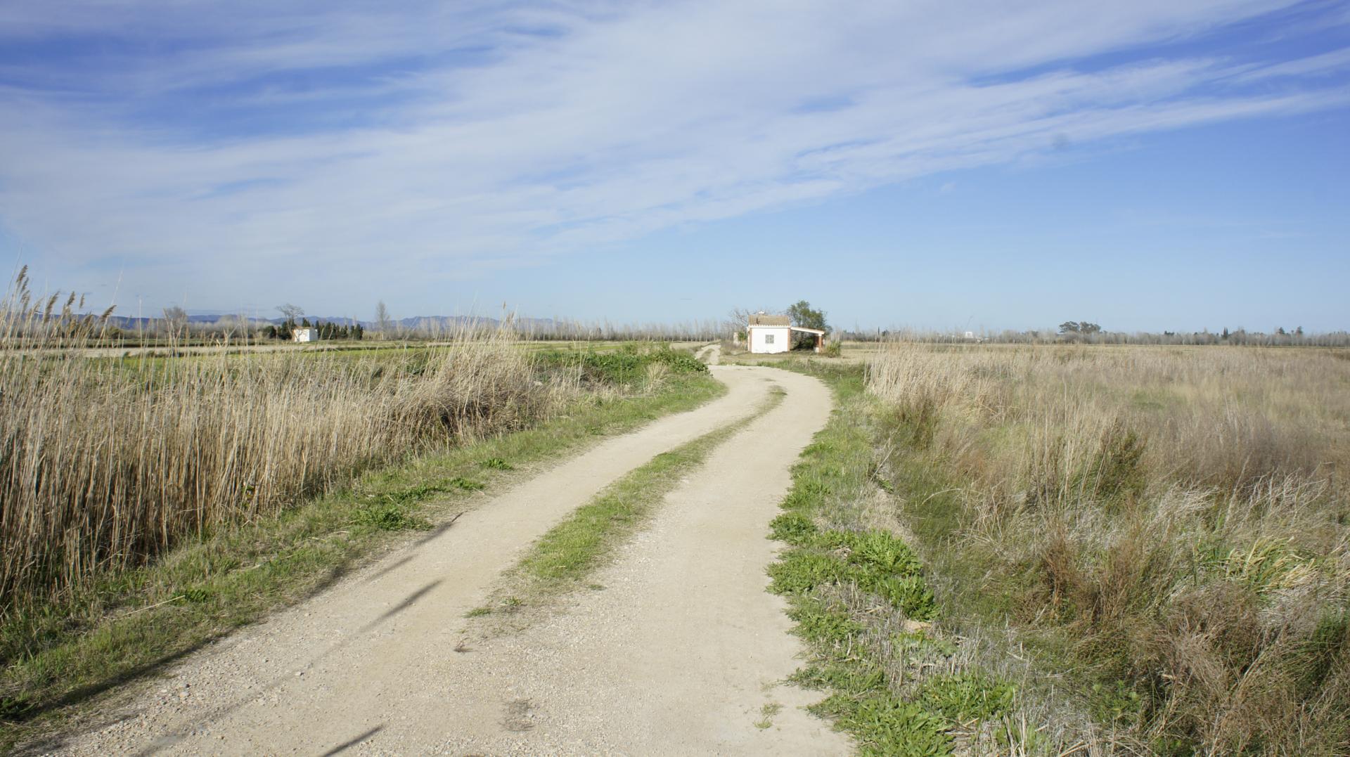 Running Sant Jaume dEnveja 15K (7)