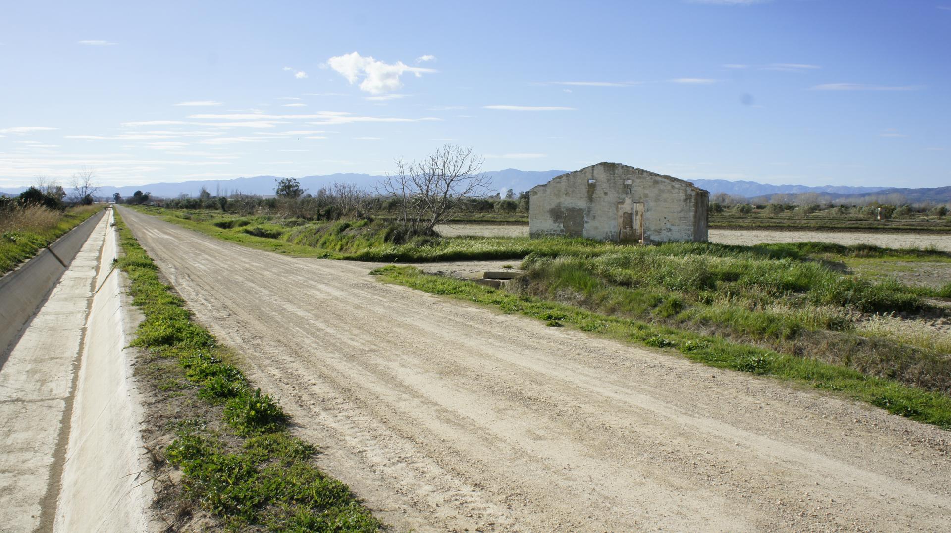 Running Sant Jaume dEnveja 15K (8)