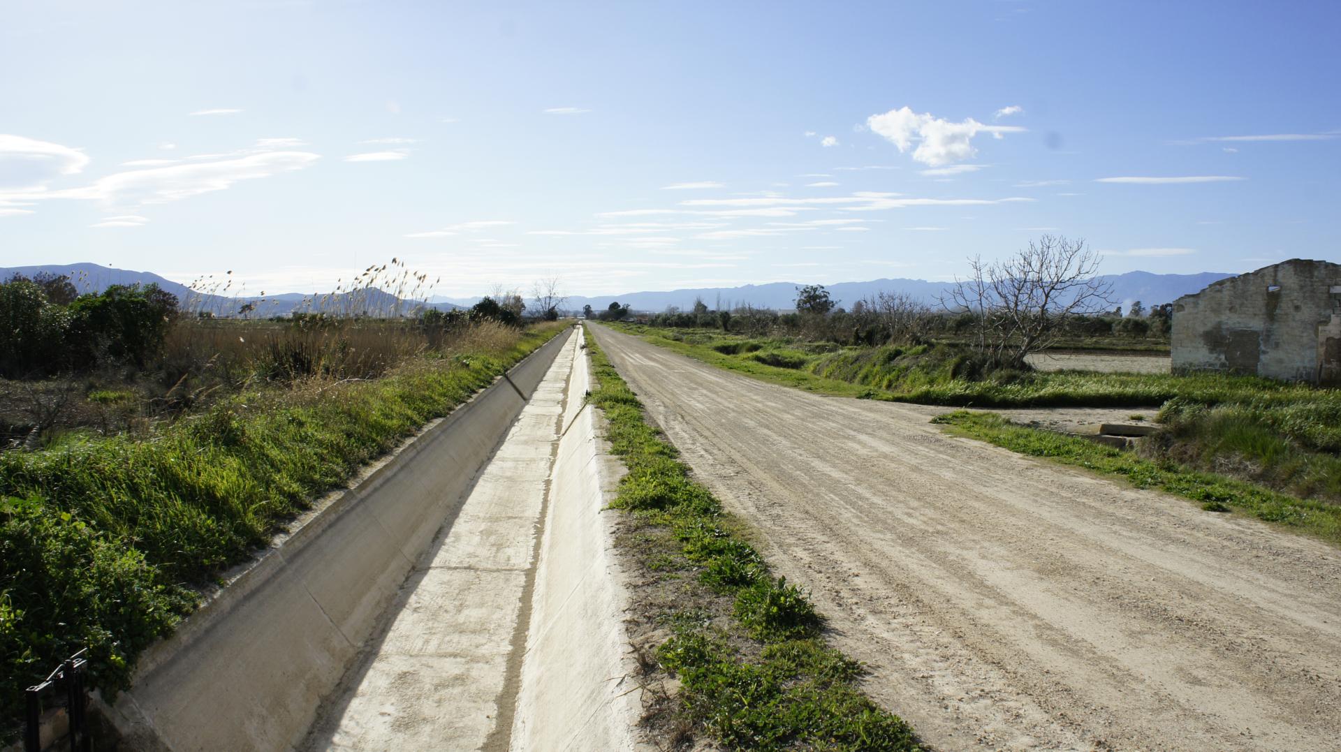 Running Sant Jaume dEnveja 15K (9)