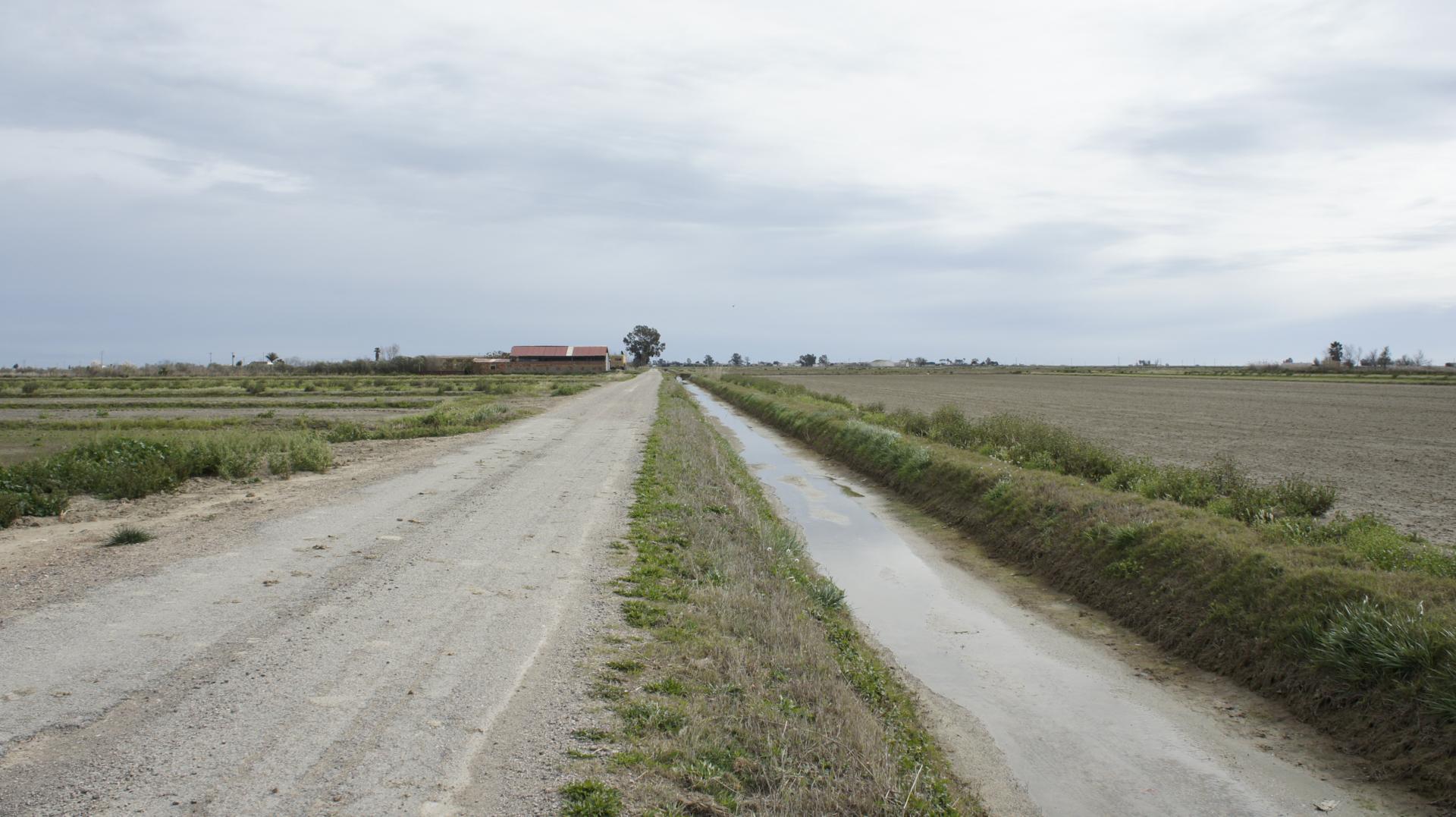 Running Sant Jaume dEnveja 21K (14)