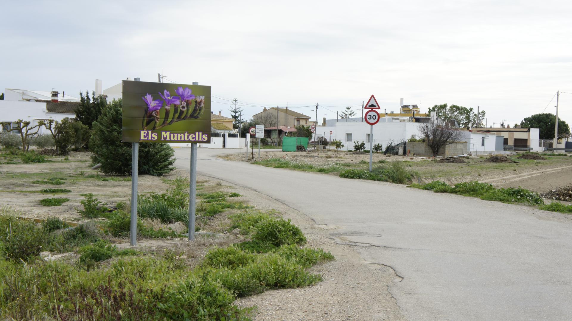 Running Sant Jaume dEnveja 21K (16)