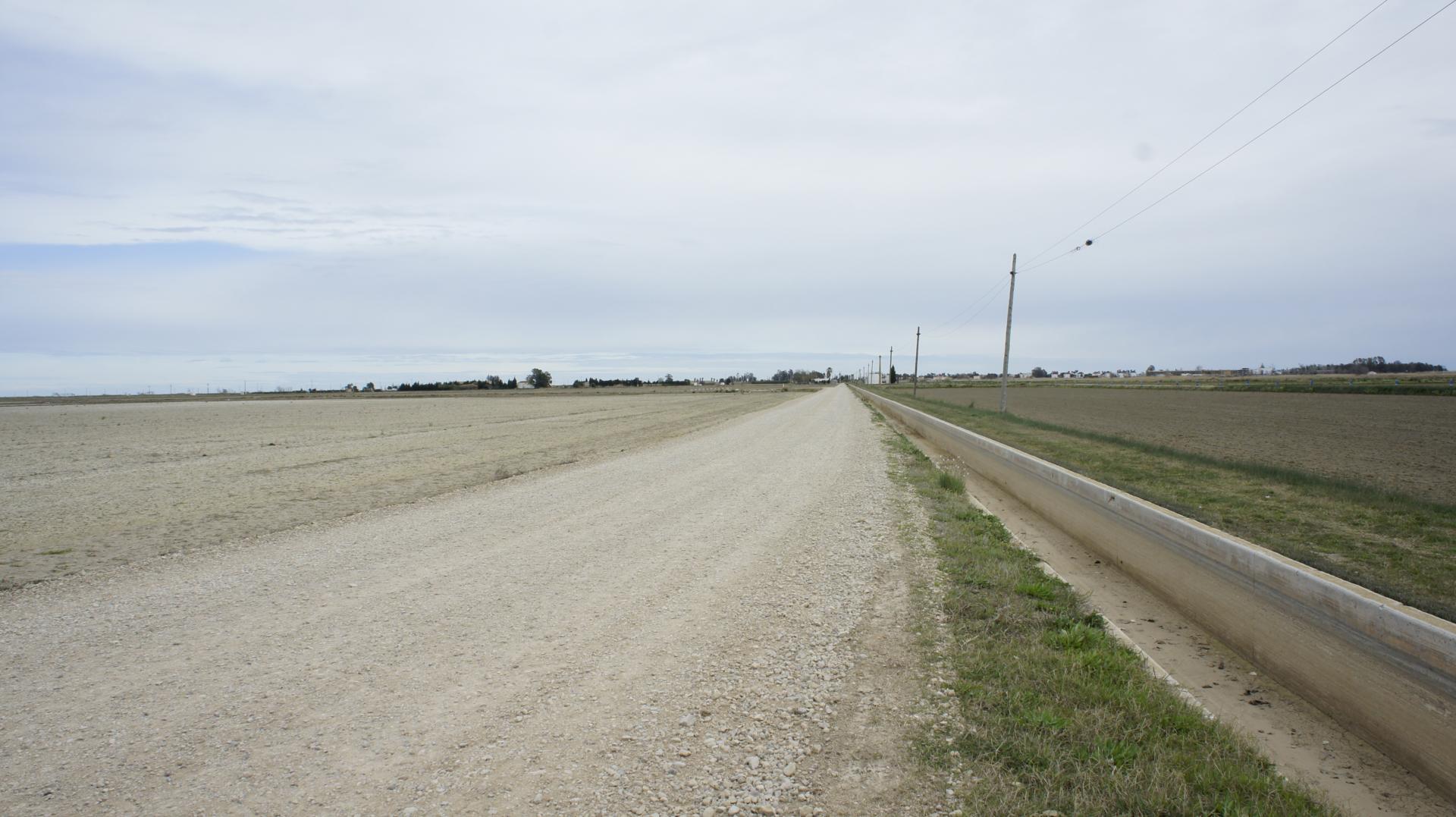 Running Sant Jaume dEnveja 21K (20)