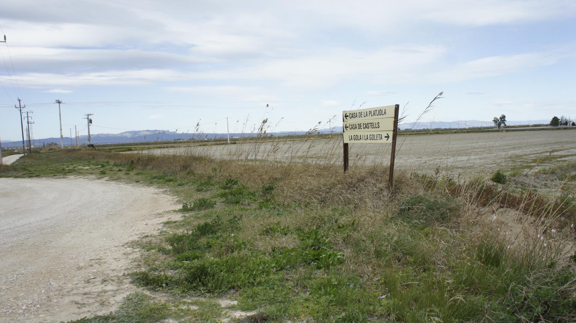 Running Sant Jaume dEnveja 21K (22)