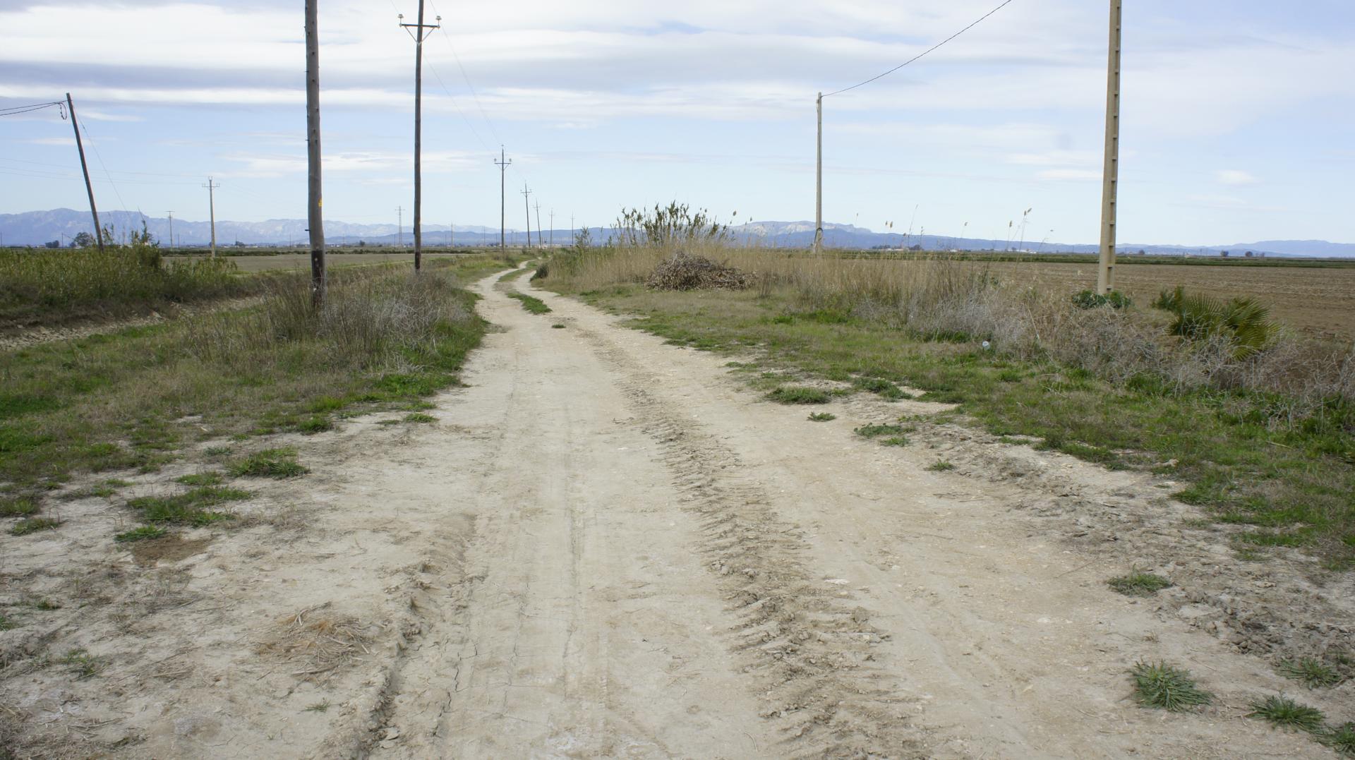 Running Sant Jaume dEnveja 21K (23)