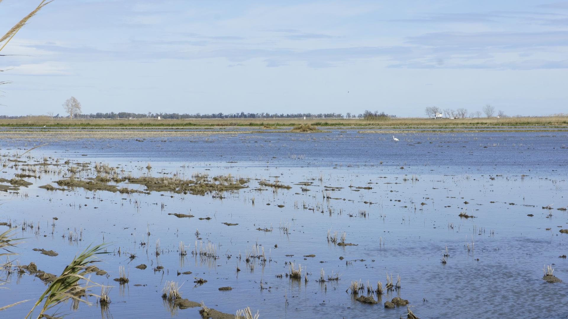 Running Sant Jaume dEnveja 21K (28)