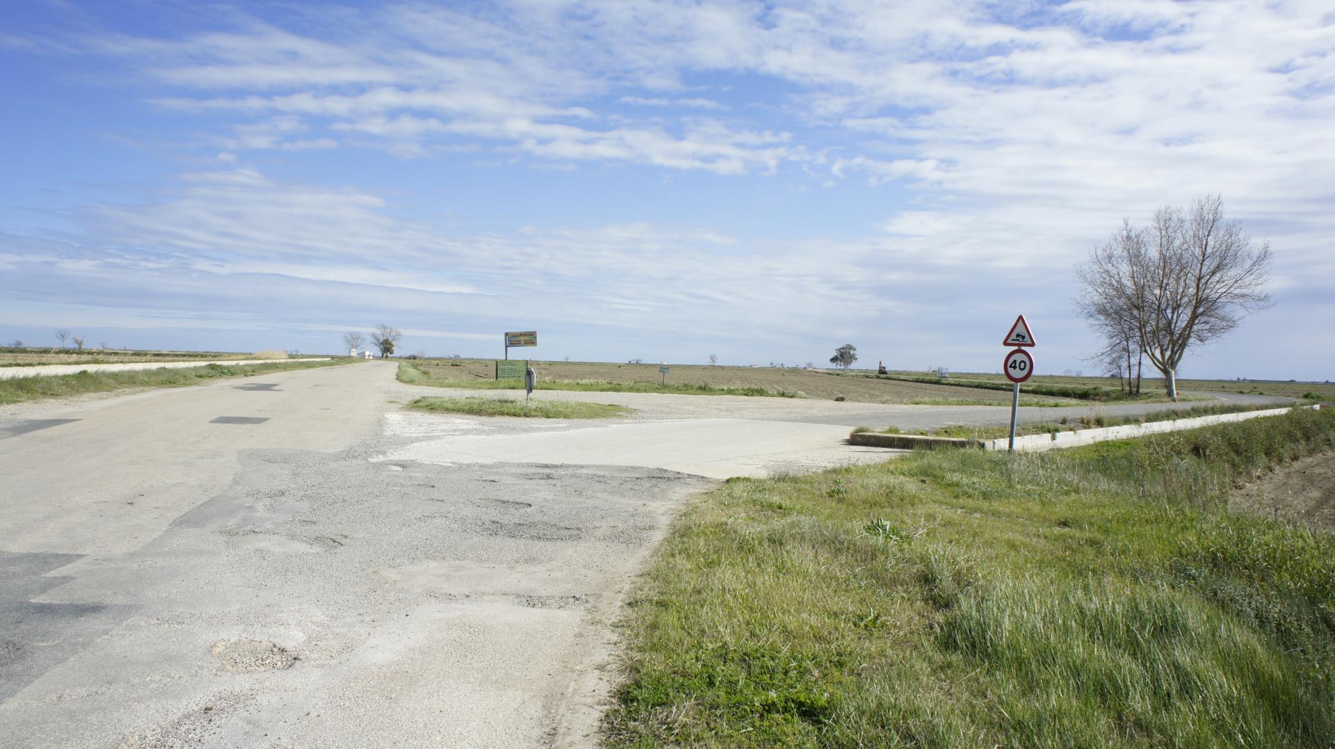 Running Sant Jaume dEnveja 21K (31)
