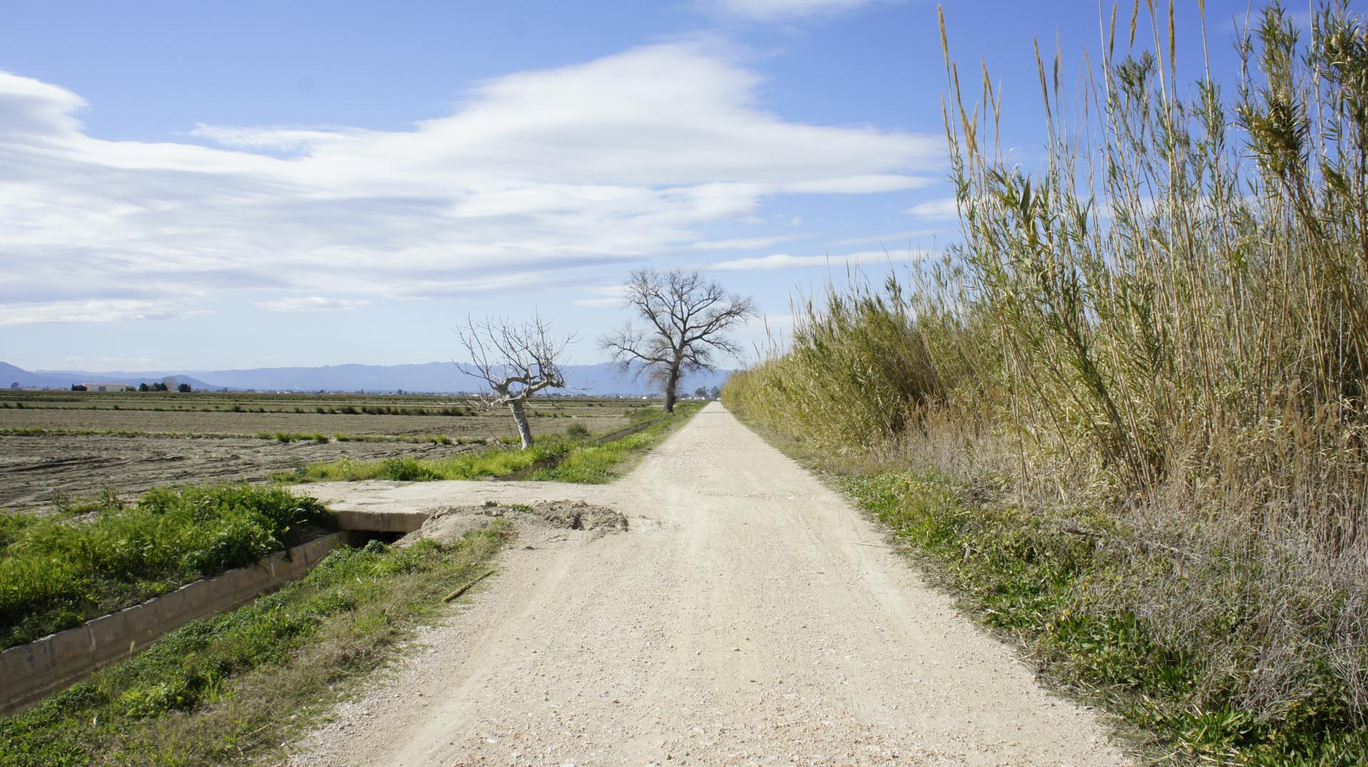 Running Sant Jaume dEnveja 21K (38)