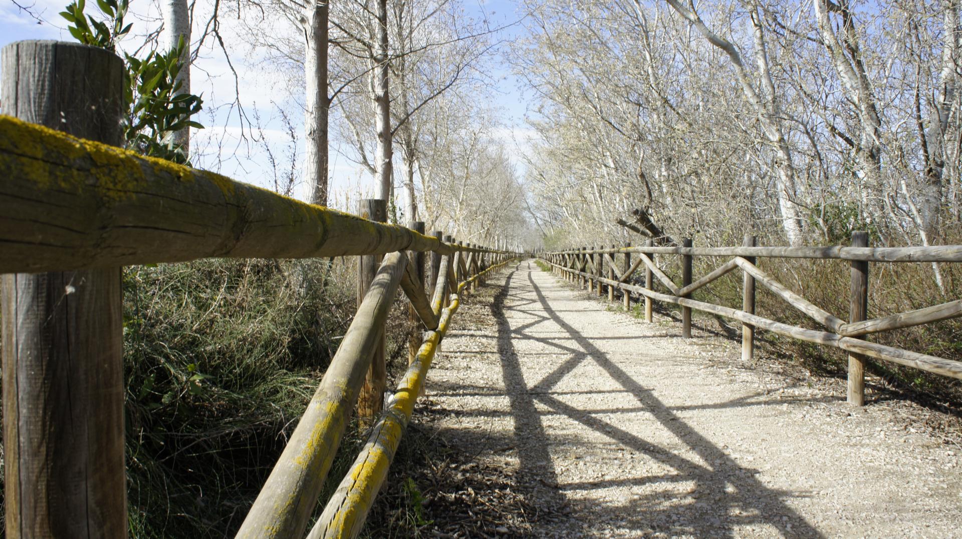 Running Sant Jaume dEnveja 21K (42)