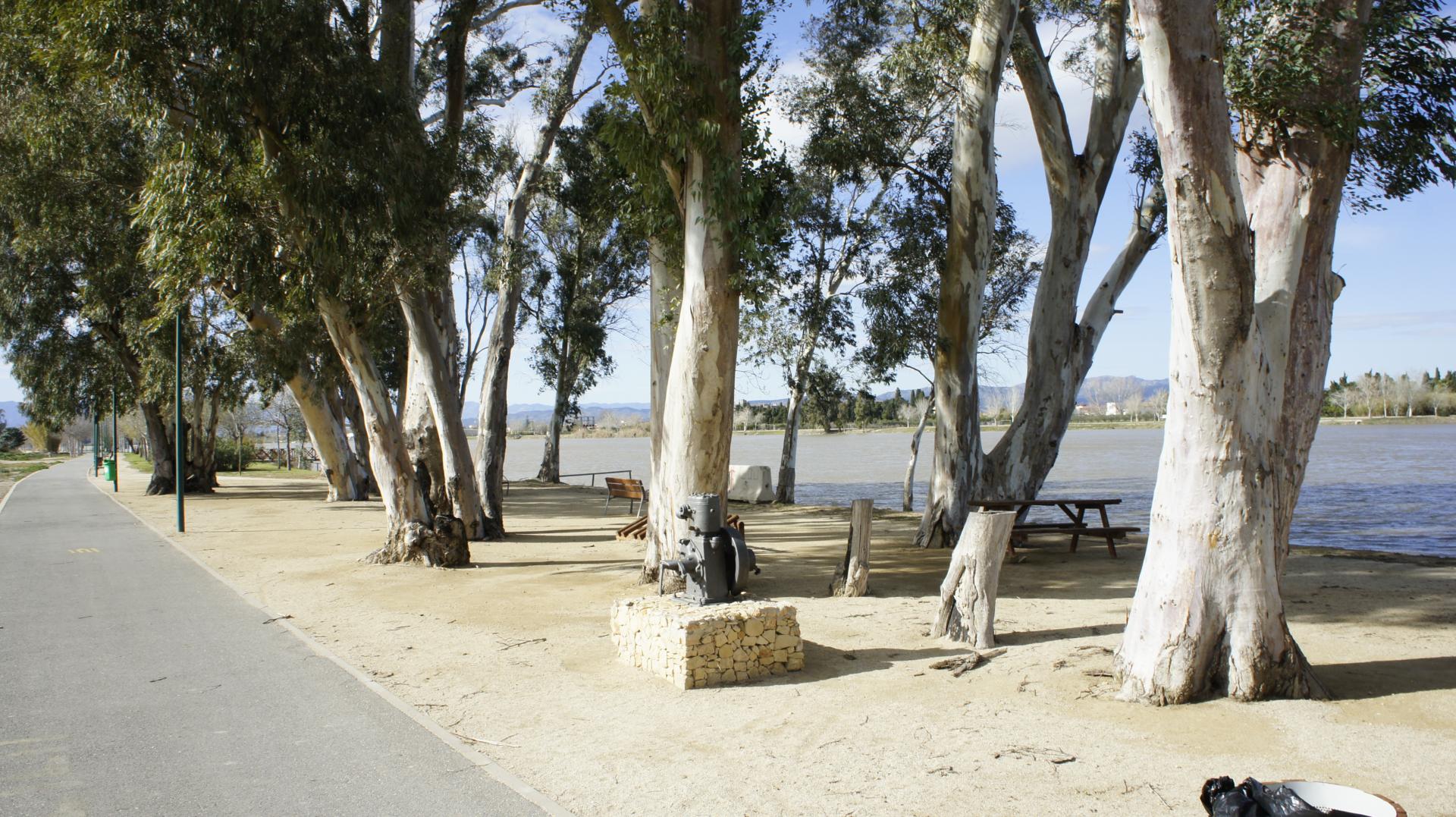 Running Sant Jaume dEnveja 21K (44)